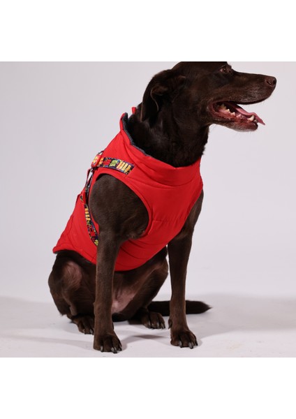 Göğüs Tasmalı Köpek Montu Kırmızı fiyatları
