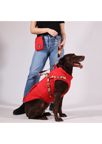 Göğüs Tasmalı Köpek Montu Kırmızı indirimleri