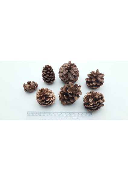 Yılbaşı, Yeni Yıl Noel Ağacı Süsleme Için Dekoratif Boyalı Kozalak Model 26