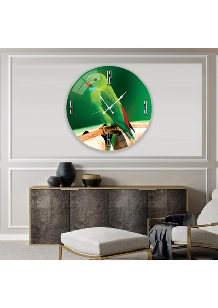 Papağan Cam Saat - 40 cm