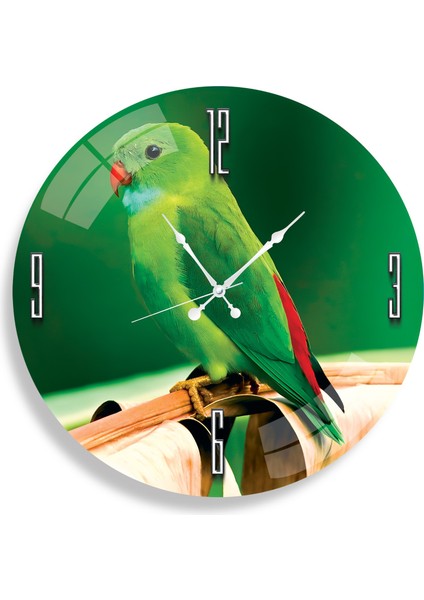 Papağan Cam Saat - 40 cm fiyatları