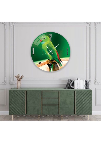 Papağan Cam Saat - 40 cm modelleri