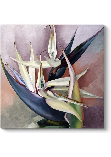 Georgia Okeeffe - White Bird Of Paradise Kanvas Tablo fiyatları