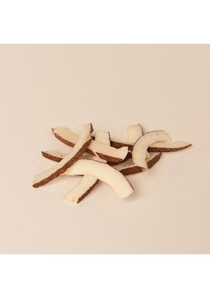 Kurutulmuş Hindistan Cevizi fiyatları