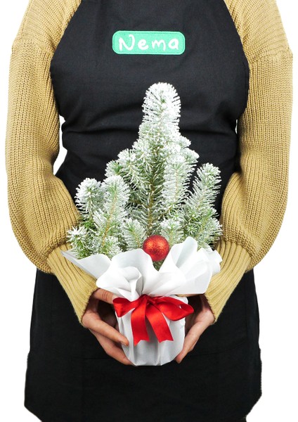 Yılbaşı Ağacı Pinus Silver crest modelleri