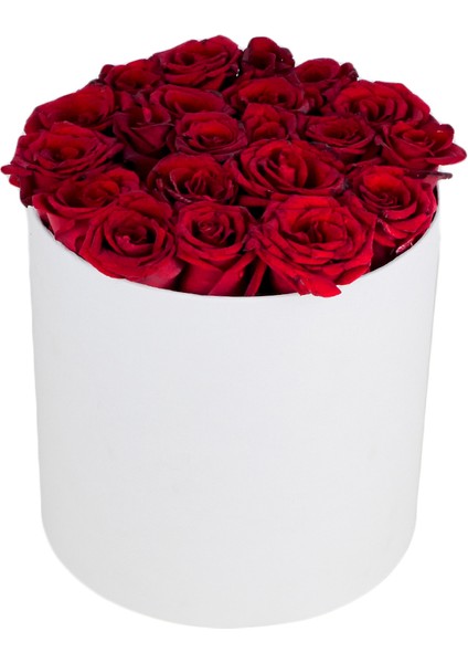 Kutuda Kırmızı Taze Gül - Beyaz Silindir Kutuda 21 Adet