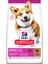 Hills Small Mini Adult 6kg Kuzu Pirinç Yetişkin Köpek Maması Ufak Irk Kuzu Pirinçli Köpek Maması 1