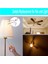 2 Adet Tavan Vantilatörü Işıkları Anahtarı Zingear ZE-208S E89885 3 Hız 4 Telli Fan Anahtarı Çekme Zinciri, Fan Işıkları Anahtarı, Bronz (Yurt Dışından) 5