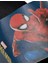 Spıderman Kevin Çocuk Lisanslı Terlik 4