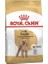 Poodle Adult Yetişkin Köpek Maması 3 kg 1