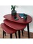 Ercol Style Lake Boyalı Zigon Orta Sehpa Takımı, Oturma Odası Mobilya 3'lü Set 1