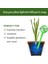 6 Adet Yeşil L Tarzı Adet Otomatik Bitki Sulama Ampul Kendinden Sulama Cihazı Houseplant Bitki Pot Ampul Küre Bitki Için Bahçe Sulama Sistemi (Yurt Dışından) 3
