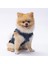 Koyu Mavi Denim Yelek Kot Yelek Köpek Kıyafeti Köpek Yeleği 3