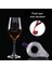 30ML Stili Mini Kırmızı Şarap Havalandırıcı Filtre Sihirli Decanter Esansiyel Şarap Hızlı Havalandırıcı Şarap Haznesi Filtre Seti Şarap Temel Ekipmanları (Yurt Dışından) 3