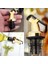 3 Adet B Tarzı 3 Adet Şişe Tıpa Sızdırmaz Şarap Şişesi Mutfak Gereçleri Gadget Stoper Kap Şarap Dökücü Dispenser Zeytinyağı Şişe Tıpası (Yurt Dışından) 5