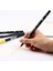 NO.879 Stili Tombow Ab-T Sanat Fırça Kalem Japon Kaligrafi Peolors Çift Kafaları Suluboya Marker Kalem Boyama Sanat Malzemeleri Için (Yurt Dışından) 3