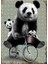 Ahşap Mdf Puzzle Yapboz Bisikletli Panda Ailesi 255 Parça 35*50 cm 1