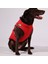 Göğüs Tasmalı Köpek Montu Kırmızı 2