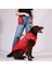 Göğüs Tasmalı Köpek Montu Kırmızı 5