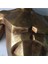 Modern Adam Duvar Dekoru Sculpture Angel Man Wall (Giga Dev Boy) 5