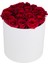 Kutuda Kırmızı Taze Gül - Beyaz Silindir Kutuda 21 Adet 1