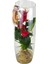 Antoryum - Cam Fanusda Kırmızı Anthurium 1
