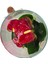 Antoryum - Cam Fanusda Kırmızı Anthurium 3