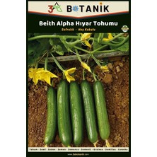 3A Botanik Beith Alpha Hıyar (Salatalık) Tohumu, Yerli ve Sürdürülebilir Tohum, 5 Gram Hıyar Tohumu