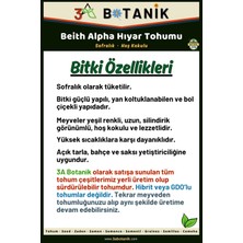 3A Botanik Beith Alpha Hıyar (Salatalık) Tohumu, Yerli ve Sürdürülebilir Tohum, 5 Gram Hıyar Tohumu