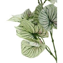 Dekorsende Yapay Caladium Sarmaşık Demeti Açık Yeşil 40 cm