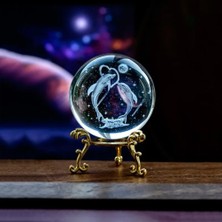 Keyfim Shop Dekoratif Metal Ayaklı Yunus Balığı  3D Cam Küre