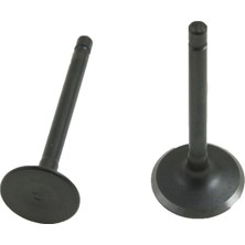 Monero Yamaha Ybr 125 Subap Takımı