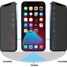 Powell iPhone 11 Mat Hayalet Ekran Gizli Tam Kaplayan Kırılmaz Cam Seramik Ekran Koruyucu Film (Kameraaçık)