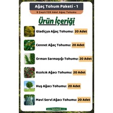 3A Botanik Ağaç Tohum Paketi-1, (Gladiçya, Cennet, Orman Sarmaşığı, Kızılcık, Huş, Mavi Servi) Ağaç Tohumları