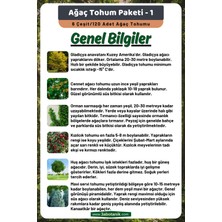 3A Botanik Ağaç Tohum Paketi-1, (Gladiçya, Cennet, Orman Sarmaşığı, Kızılcık, Huş, Mavi Servi) Ağaç Tohumları