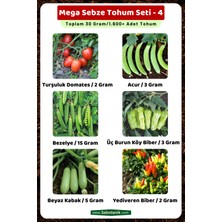 3A Botanik Mega Sebze Tohum Seti - 4, Toplam 30 GRAM/1.600 Adet Sebze Tohumu