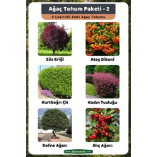 3A Botanik Ağaç Tohum Paketi-2, (Süs Eriği, Ateş Dikeni, Kurtbağrı, Kadın Tuzluğu, Defne, Alıç) Ağaç Tohumları