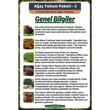 3A Botanik Ağaç Tohum Paketi-2, (Süs Eriği, Ateş Dikeni, Kurtbağrı, Kadın Tuzluğu, Defne, Alıç) Ağaç Tohumları