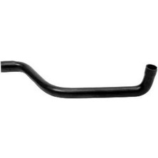 Rapro Radyatör Alt Hortum Tempra Tipo 1.6 90-96