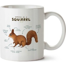 Sincap Anatomisi Squirrel Anatomy Iki Tarafı Baskılı Kupa Bardak
