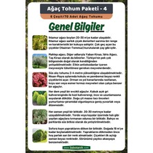 3A Botanik Ağaç Tohum Paketi-4, (Ihlamur, Mahlep, Süs Alıç, Çit Mazısı, Alaca Sarmaşık, Sofora) Ağaç Tohumları