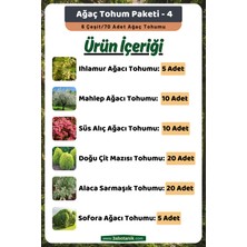 3A Botanik Ağaç Tohum Paketi-4, (Ihlamur, Mahlep, Süs Alıç, Çit Mazısı, Alaca Sarmaşık, Sofora) Ağaç Tohumları