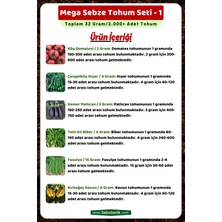 3A Botanik Mega Sebze Tohum Seti - 1, Toplam 32 GRAM/2.000 Adet Sebze Tohumu