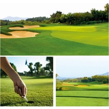 Chaoduo Shop Siyah Stil Manyetik Düğmeli Katlanır Golf Paslanmaz Çelik Divot Tamir Çatalı Pitch Groove Remover Pitchfork Sustalı Golf Aksesuarları (Yurt Dışından)