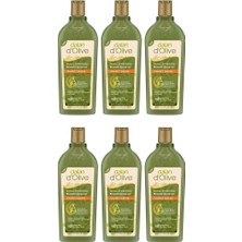 Dalan Onarıcı Bakım Şampuanı 400 Ml X 6 Adet