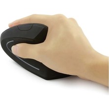 Yenilzd Kablosuz Ergonomik Dikey Mouse 80012001600 Dpı