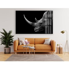 Myphotostation Gergedan Cam Duvar Tablosu