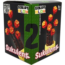 Gokidy Blok Sukulent Serisi - 2