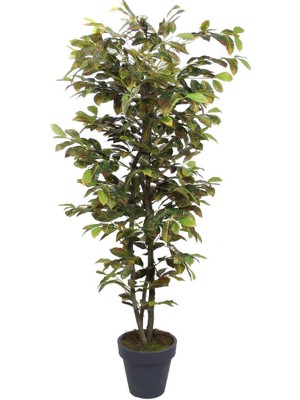 Dekorsende Yapay Kraton Ağacı 170 cm