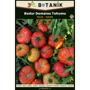 3A Botanik Bodur Domates Tohumu, Yerli ve Sürdürülebilir Tohum, 3 Gram Domates Tohumu